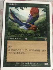 Birds of Paradise Japanese 7th Edition MP